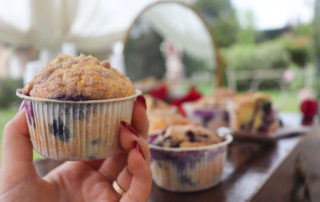 Blueberry and Strawberry Chocolate Muffins